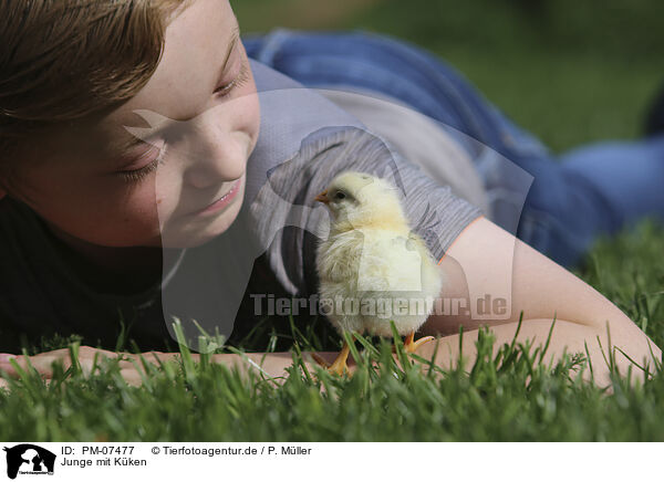 Junge mit Kken / boy with Chicken / PM-07477