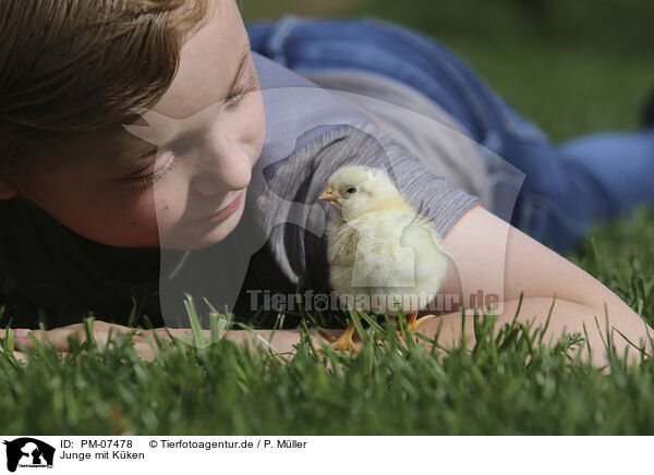 Junge mit Kken / boy with Chicken / PM-07478