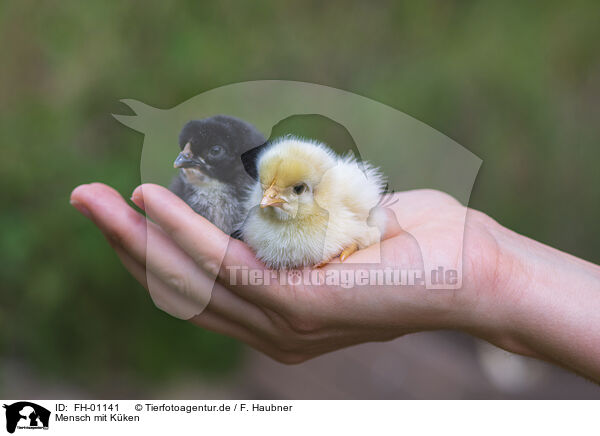 Mensch mit Kken / human with Chicken / FH-01141