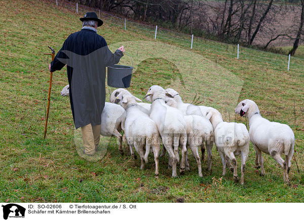Schfer mit Krntner Brillenschafen / Carinthian sheeps / SO-02606