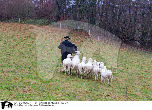 Schfer mit Krntner Brillenschafen / Carinthian sheeps / SO-02607