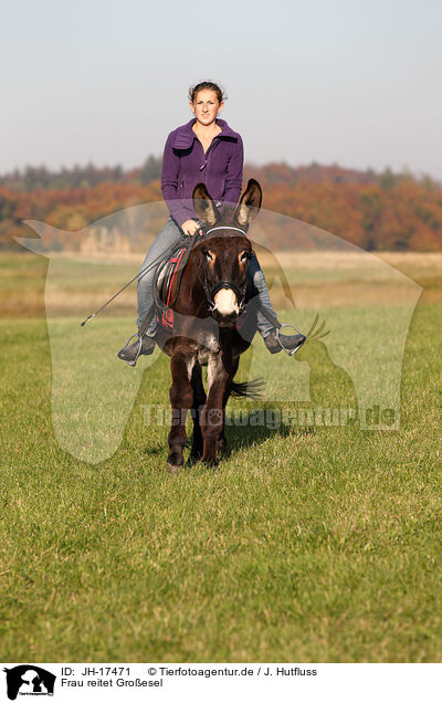Frau reitet Groesel / woman rides donkey / JH-17471