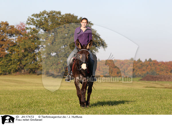 Frau reitet Groesel / woman rides donkey / JH-17472