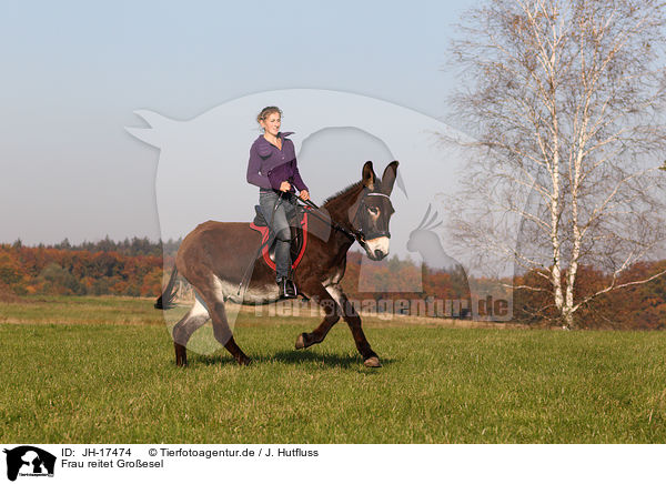 Frau reitet Groesel / woman rides donkey / JH-17474