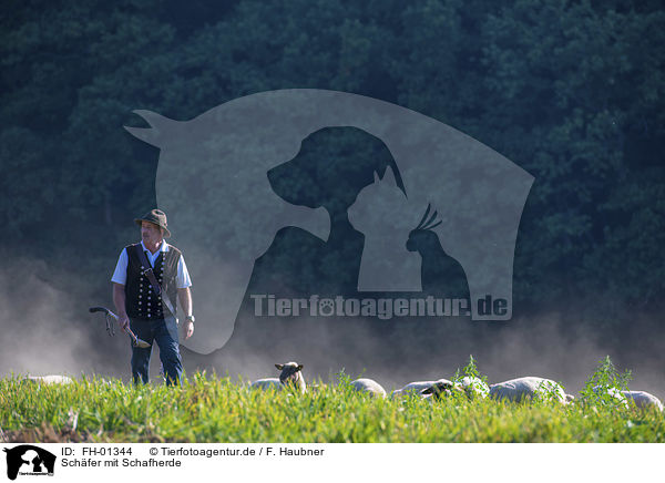 Schfer mit Schafherde / Shepherd with flock of Sheep / FH-01344