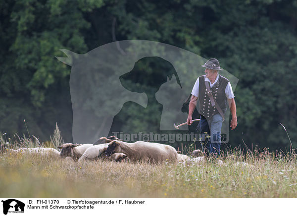 Mann mit Schwarzkopfschafe / man with Blackface Sheeps / FH-01370