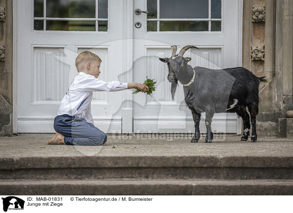 Junge mit Ziege / boy with Goat / MAB-01831