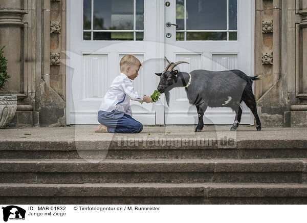 Junge mit Ziege / boy with Goat / MAB-01832
