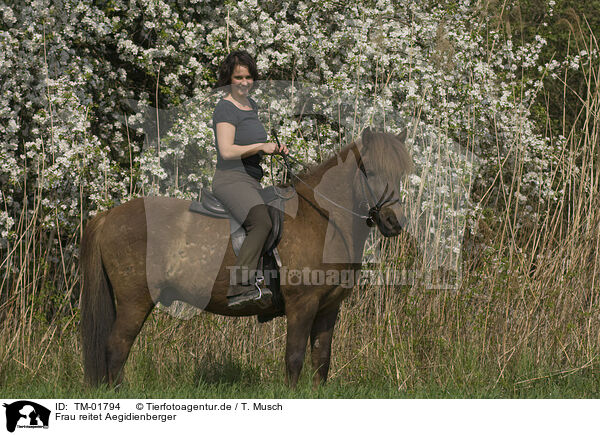 Frau reitet Aegidienberger / woman rides pony / TM-01794