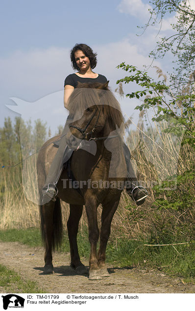 Frau reitet Aegidienberger / woman rides pony / TM-01799