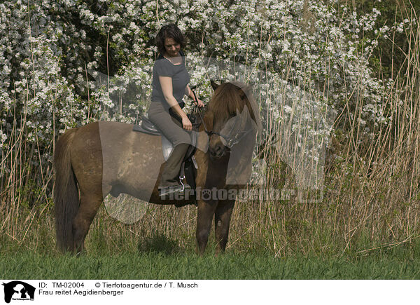 Frau reitet Aegidienberger / woman rides pony / TM-02004