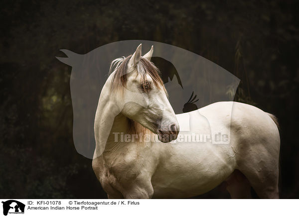 American Indian Horse Portrait / KFI-01078