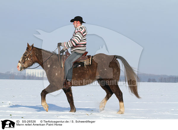 Mann reitet American Paint Horse / SS-26526