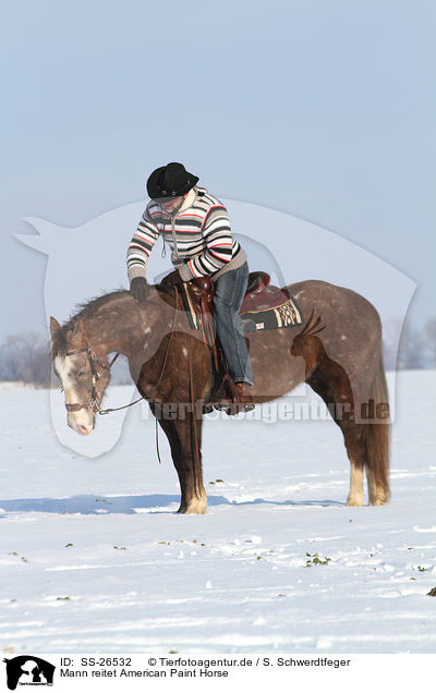 Mann reitet American Paint Horse / SS-26532