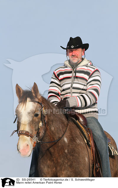 Mann reitet American Paint Horse / man rides American Paint Horse / SS-26541