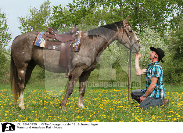 Mann und American Paint Horse / SS-26920