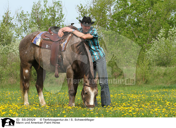 Mann und American Paint Horse / SS-26929
