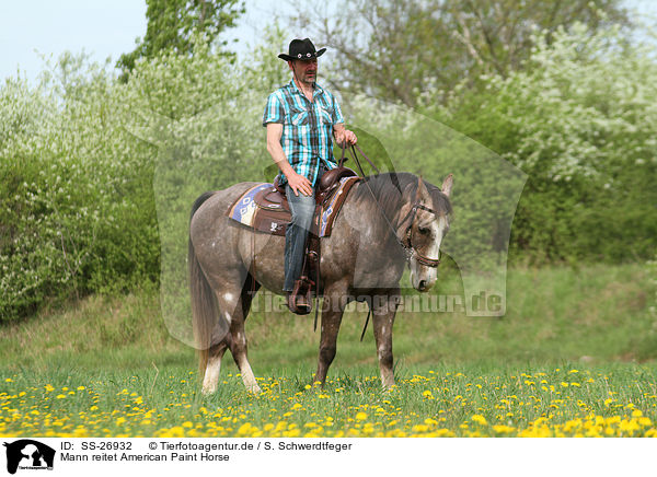 Mann reitet American Paint Horse / SS-26932