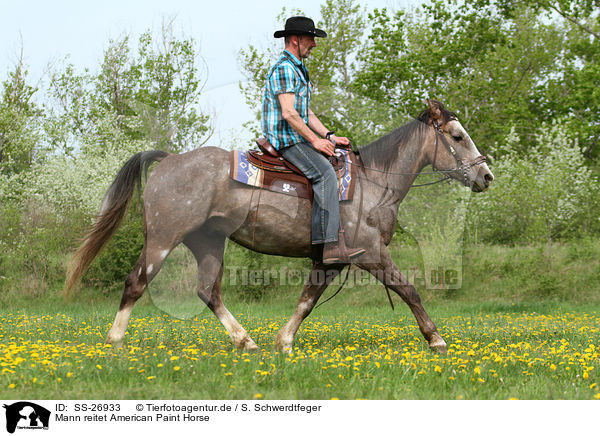 Mann reitet American Paint Horse / SS-26933