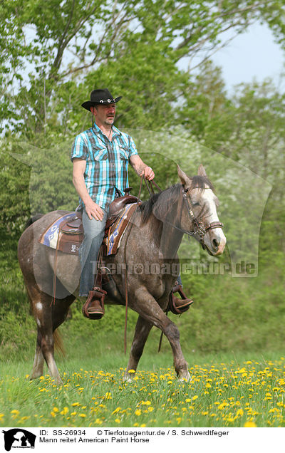 Mann reitet American Paint Horse / SS-26934