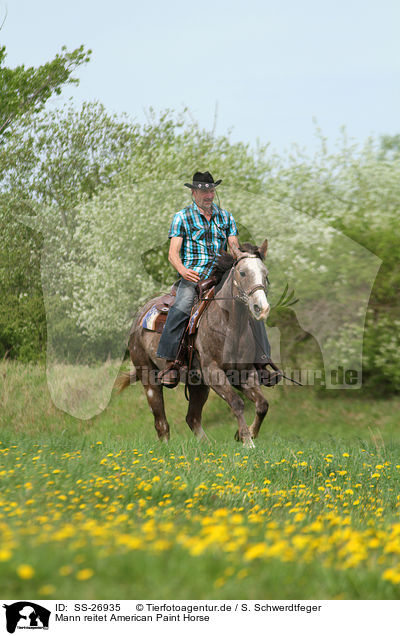 Mann reitet American Paint Horse / SS-26935