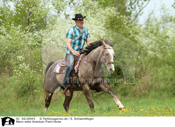 Mann reitet American Paint Horse / SS-26943