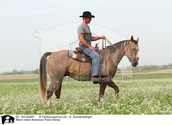Mann reitet American Paint Horse / SS-28697