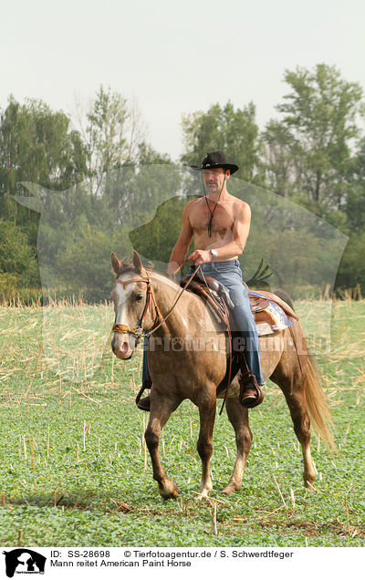 Mann reitet American Paint Horse / man rides American Paint Horse / SS-28698