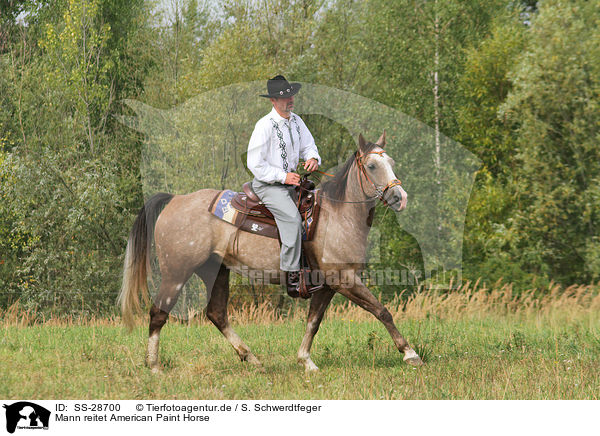 Mann reitet American Paint Horse / man rides American Paint Horse / SS-28700