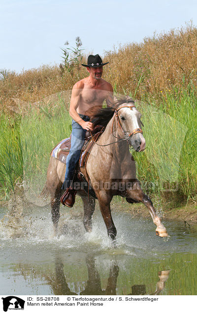 Mann reitet American Paint Horse / man rides American Paint Horse / SS-28708