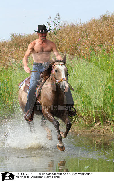Mann reitet American Paint Horse / man rides American Paint Horse / SS-28710