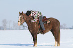 Mann reitet American Paint Horse