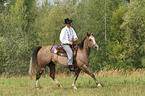 Mann reitet American Paint Horse