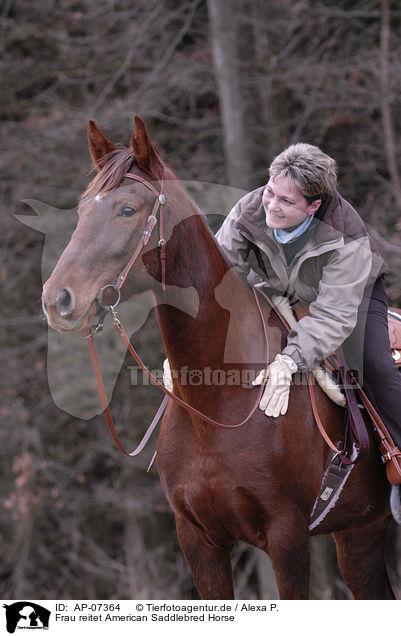 Frau reitet American Saddlebred Horse / AP-07364