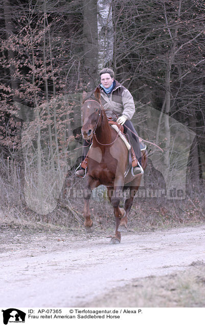 Frau reitet American Saddlebred Horse / AP-07365