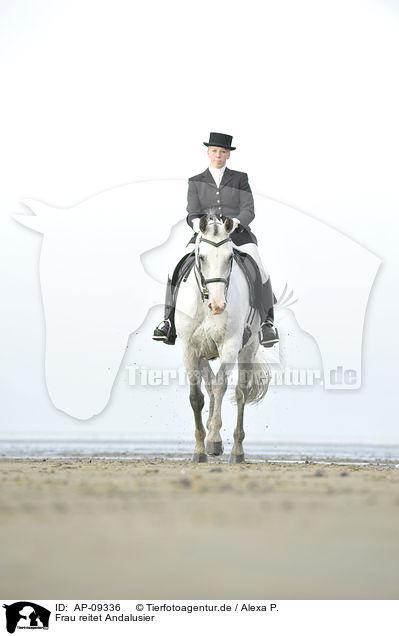 Frau reitet Andalusier / woman rides Andalusian horse / AP-09336