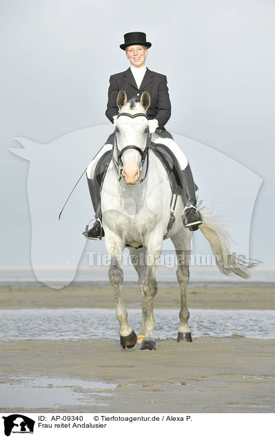 Frau reitet Andalusier / woman rides Andalusian horse / AP-09340