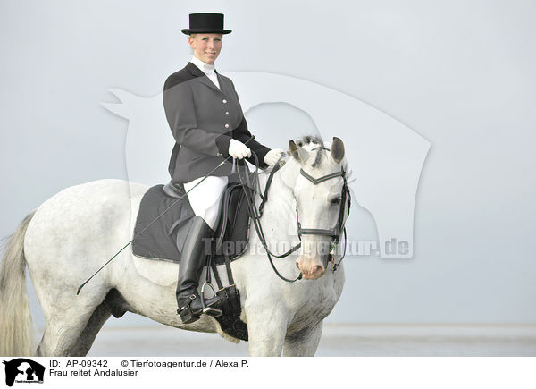 Frau reitet Andalusier / woman rides Andalusian horse / AP-09342