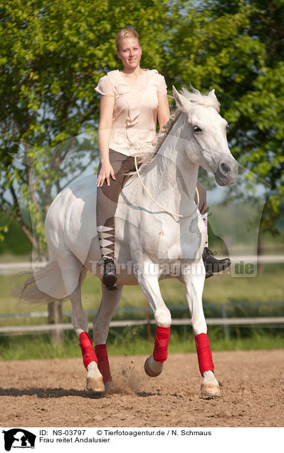 Frau reitet Andalusier / NS-03797
