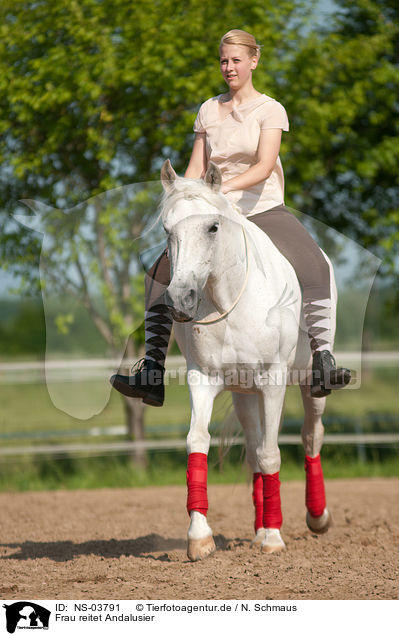 Frau reitet Andalusier / woman rides Andalusian horse / NS-03791