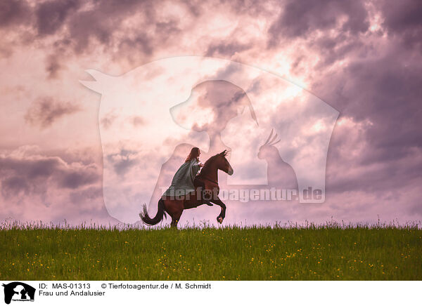 Frau und Andalusier / MAS-01313