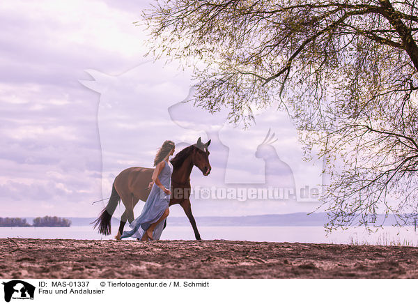 Frau und Andalusier / woman and Andalusian Horse / MAS-01337