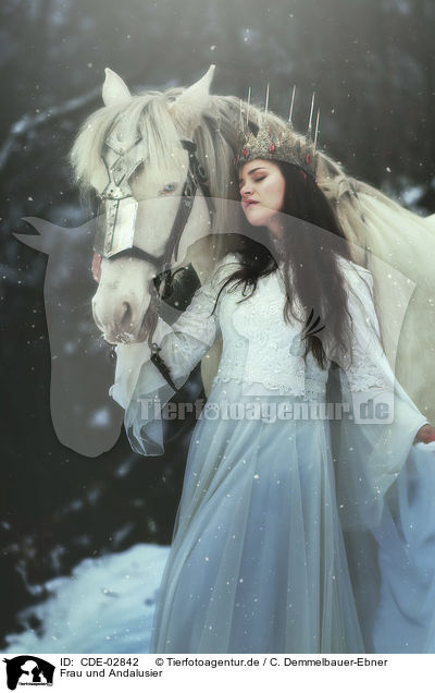 Frau und Andalusier / woman and Andalusian Horse / CDE-02842