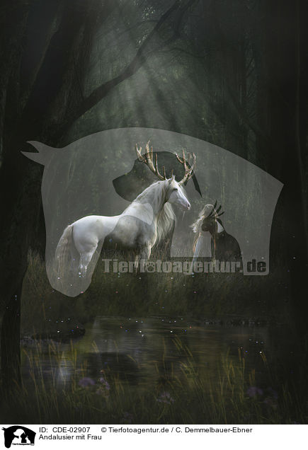 Andalusier mit Frau / Andalusian Horse with a woman / CDE-02907