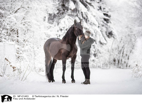 Frau und Andalusier / woman and Andalusian horse / NP-01463