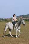 Reiterin auf einem Andalusier