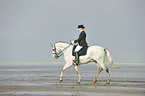 Frau reitet Andalusier