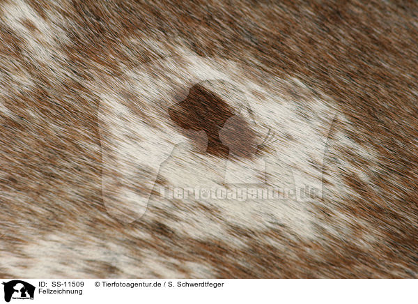 Fellzeichnung / Fell / SS-11509