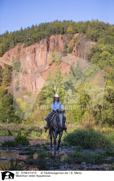 M�dchen reitet Appaloosa / girl rides Appaloosa / STM-01415