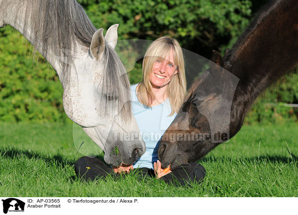 Araber Portrait / AP-03565